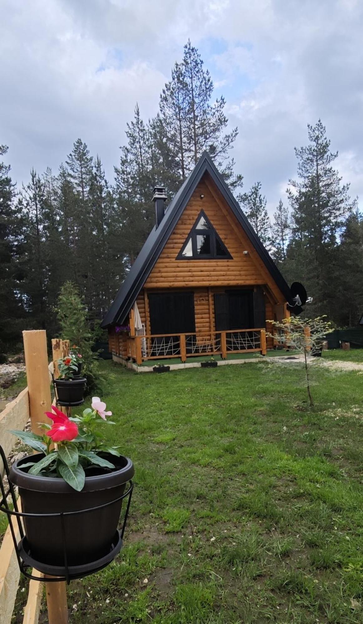 Pine Forest-White Zabljak  Ngoại thất bức ảnh