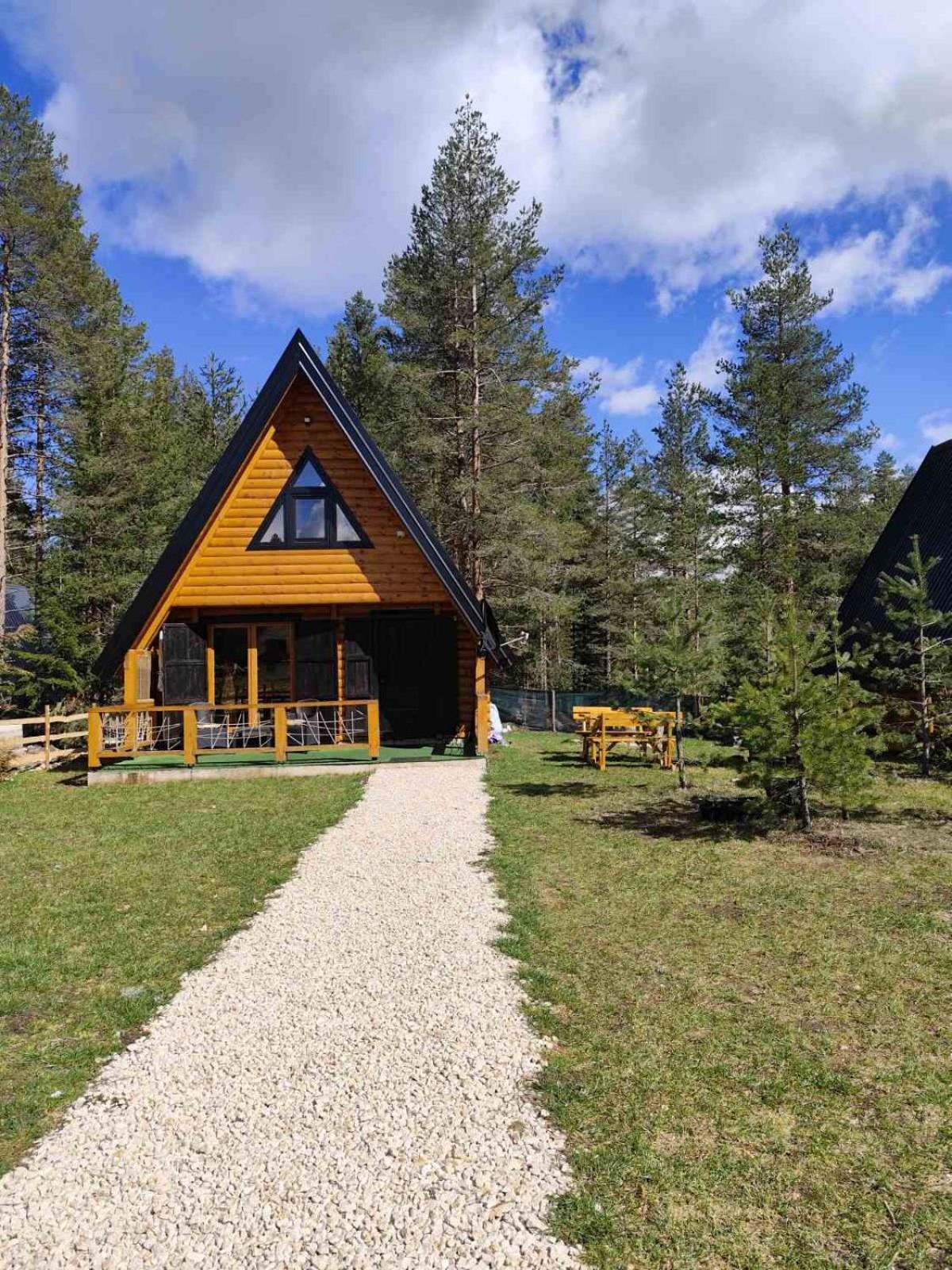Pine Forest-White Zabljak  Ngoại thất bức ảnh