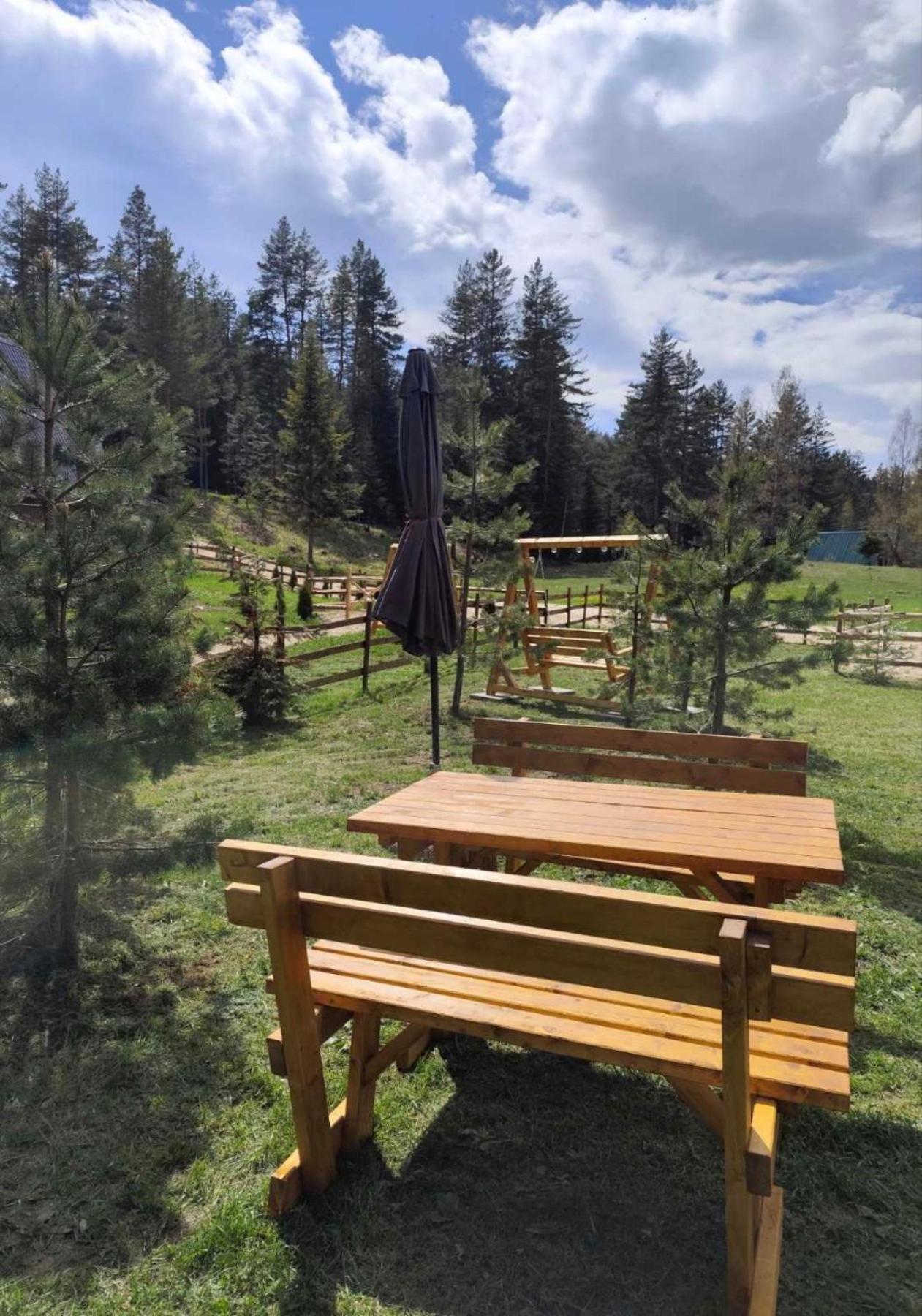 Pine Forest-White Zabljak  Ngoại thất bức ảnh