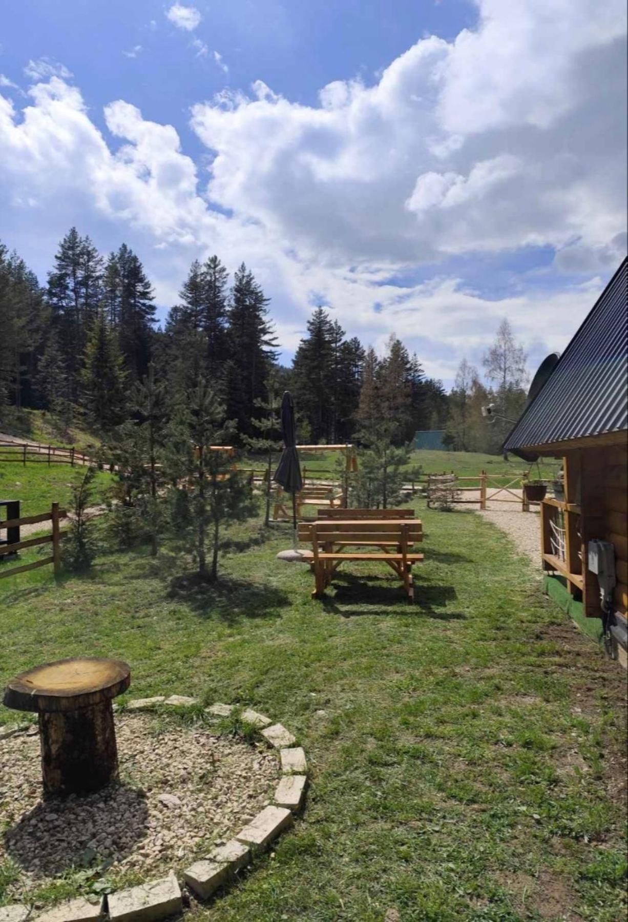 Pine Forest-White Zabljak  Ngoại thất bức ảnh