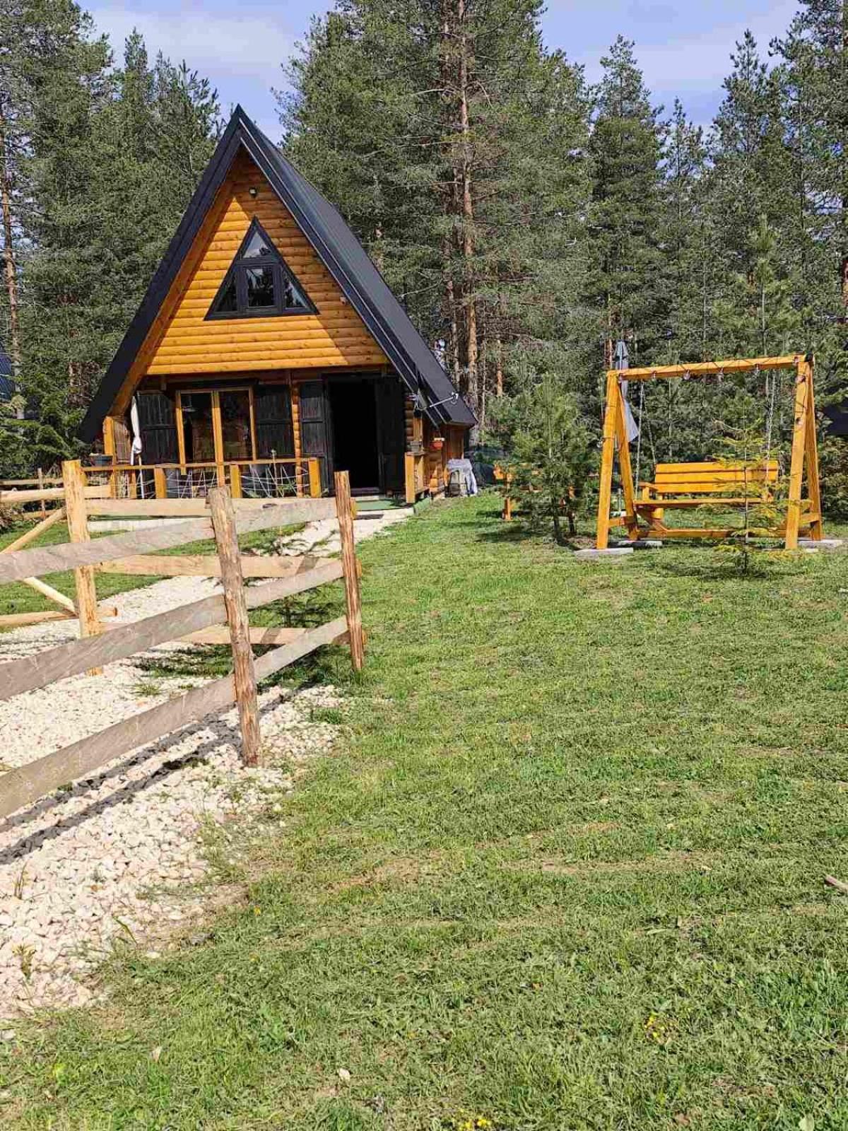 Pine Forest-White Zabljak  Ngoại thất bức ảnh